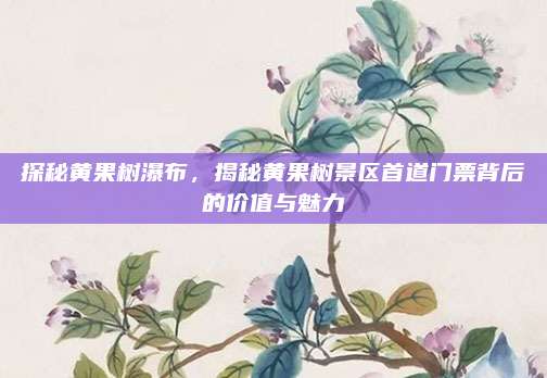 探秘黄果树瀑布，揭秘黄果树景区首道门票背后的价值与魅力