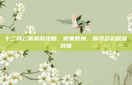 十二月云南旅游攻略，避寒胜地，探寻多彩民族风情