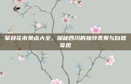 攀枝花市景点大全,探秘四川的独特美景与自然奇观
