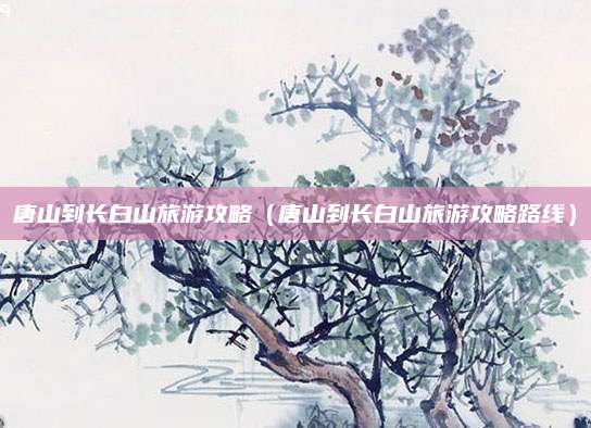 唐山到长白山旅游攻略(唐山到长白山旅游攻略路线)