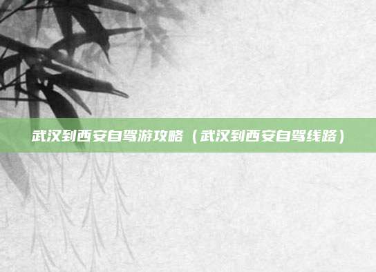 武汉到西安自驾游攻略(武汉到西安自驾线路)