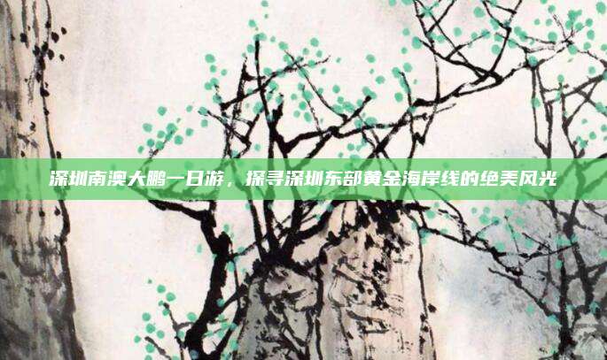 深圳南澳大鹏一日游,探寻深圳东部黄金海岸线的绝美风光