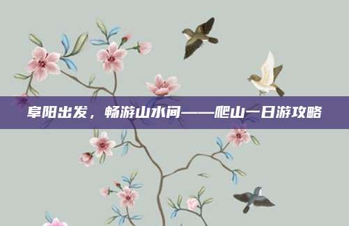 阜阳出发，畅游山水间——爬山一日游攻略