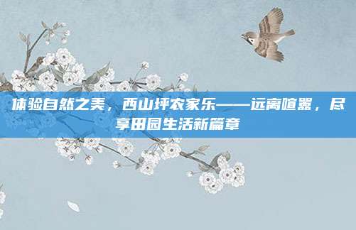 体验自然之美，西山坪农家乐——远离喧嚣，尽享田园生活新篇章