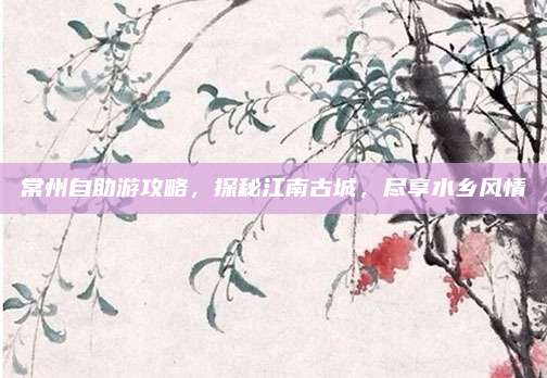 常州自助游攻略，探秘江南古城，尽享水乡风情