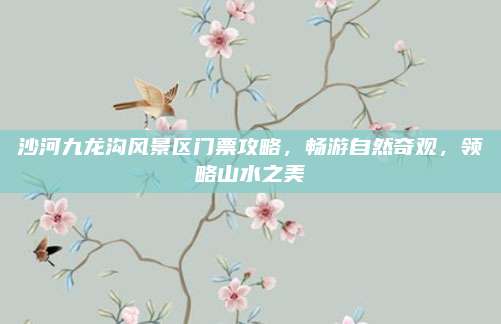 沙河九龙沟风景区门票攻略,畅游自然奇观,领略山水之美