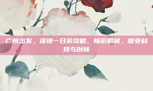 广州出发，深圳一日游攻略，畅游鹏城，感受科技与创新