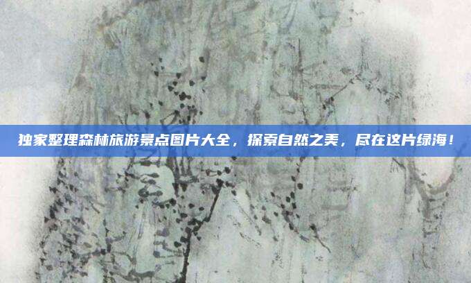 独家整理森林旅游景点图片大全，探索自然之美，尽在这片绿海！