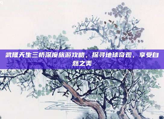 武隆天生三桥深度旅游攻略，探寻地球奇观，享受自然之美