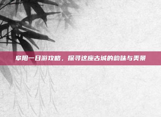 阜阳一日游攻略，探寻这座古城的韵味与美景