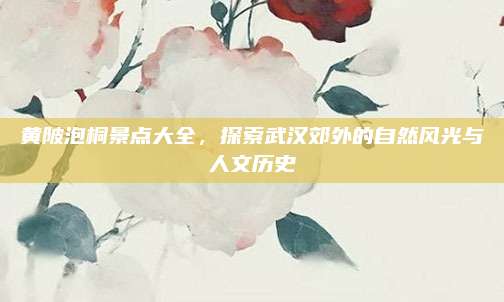 黄陂泡桐景点大全，探索武汉郊外的自然风光与人文历史