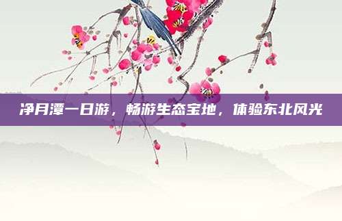 净月潭一日游，畅游生态宝地，体验东北风光