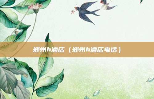 郑州h酒店(郑州h酒店电话)