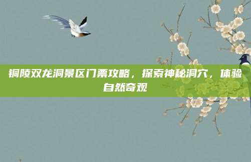 铜陵双龙洞景区门票攻略，探索神秘洞穴，体验自然奇观