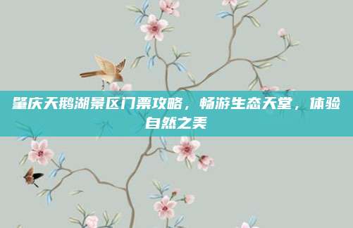 肇庆天鹅湖景区门票攻略，畅游生态天堂，体验自然之美