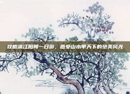 攻略漓江阳朔一日游，感受山水甲天下的绝美风光
