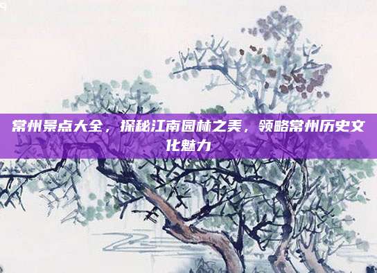 常州景点大全，探秘江南园林之美，领略常州历史文化魅力