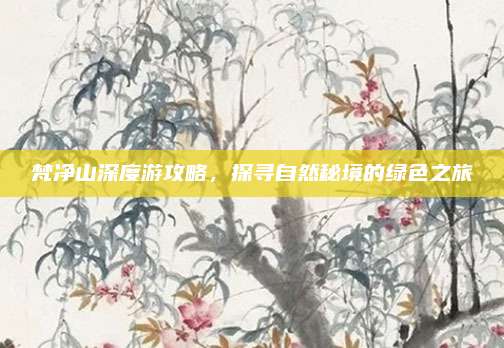 梵净山深度游攻略，探寻自然秘境的绿色之旅