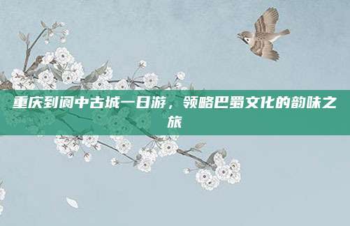 重庆到阆中古城一日游，领略巴蜀文化的韵味之旅