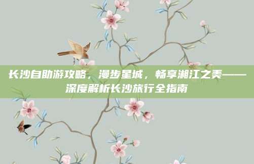 长沙自助游攻略，漫步星城，畅享湘江之美——深度解析长沙旅行全指南