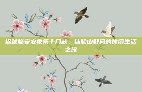 探秘临安农家乐十门峡，体验山野间的休闲生活之旅