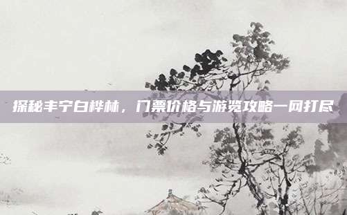 探秘丰宁白桦林，门票价格与游览攻略一网打尽