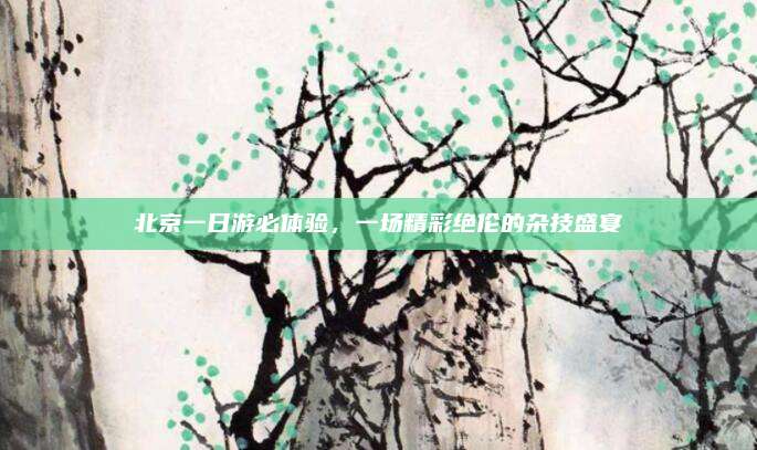 北京一日游必体验，一场精彩绝伦的杂技盛宴