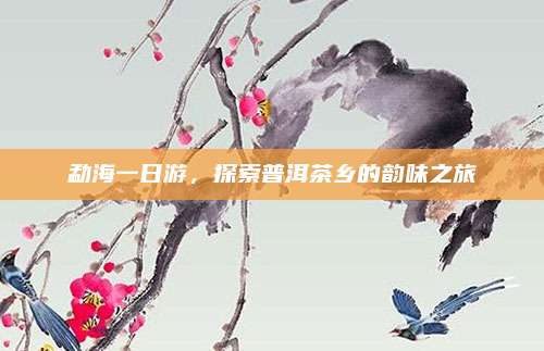 勐海一日游，探索普洱茶乡的韵味之旅