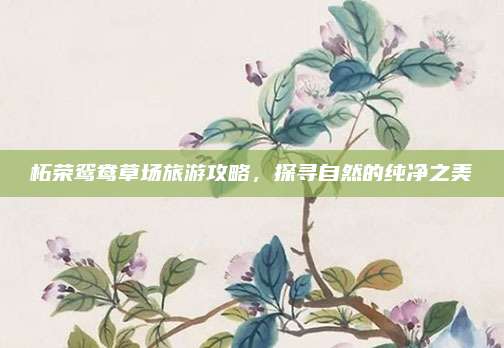 柘荣鸳鸯草场旅游攻略，探寻自然的纯净之美