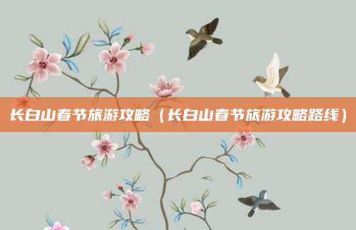 长白山春节旅游攻略（长白山春节旅游攻略路线）