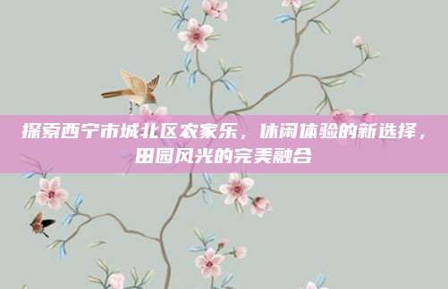 探索西宁市城北区农家乐，休闲体验的新选择，田园风光的完美融合