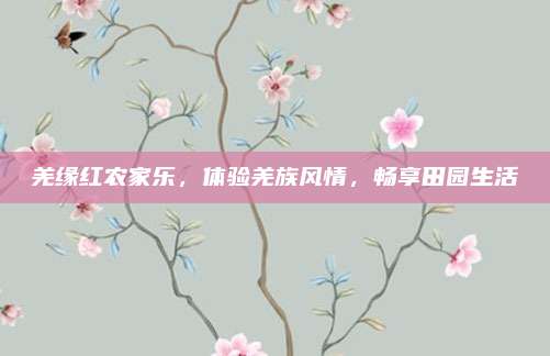 羌缘红农家乐，体验羌族风情，畅享田园生活