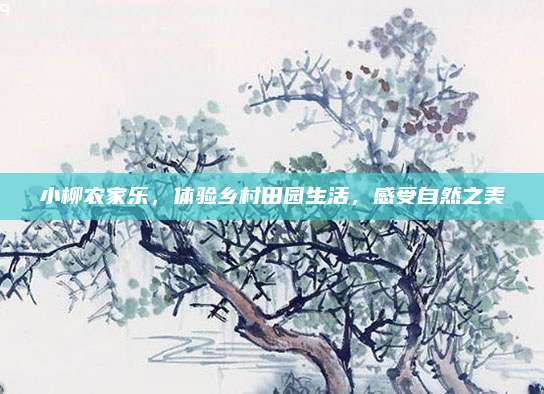 小柳农家乐，体验乡村田园生活，感受自然之美