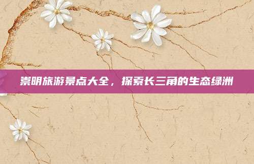 崇明旅游景点大全，探索长三角的生态绿洲