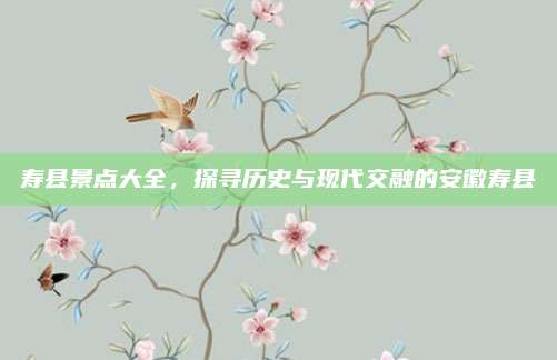 寿县景点大全，探寻历史与现代交融的安徽寿县