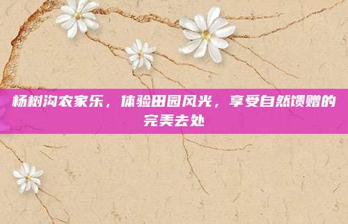 杨树沟农家乐，体验田园风光，享受自然馈赠的完美去处
