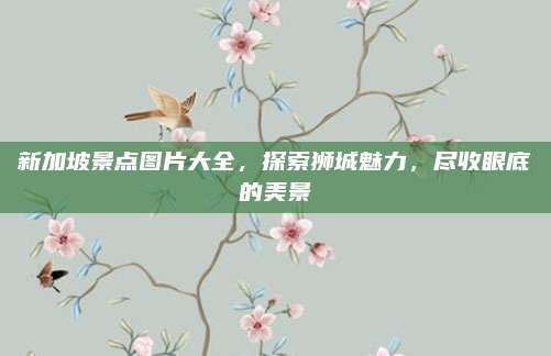 新加坡景点图片大全，探索狮城魅力，尽收眼底的美景