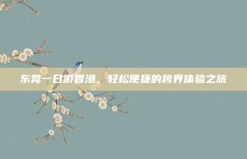 东莞一日游香港，轻松便捷的跨界体验之旅