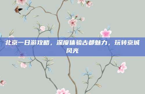 北京一日游攻略，深度体验古都魅力，玩转京城风光