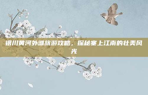 银川黄河外滩旅游攻略，探秘塞上江南的壮美风光