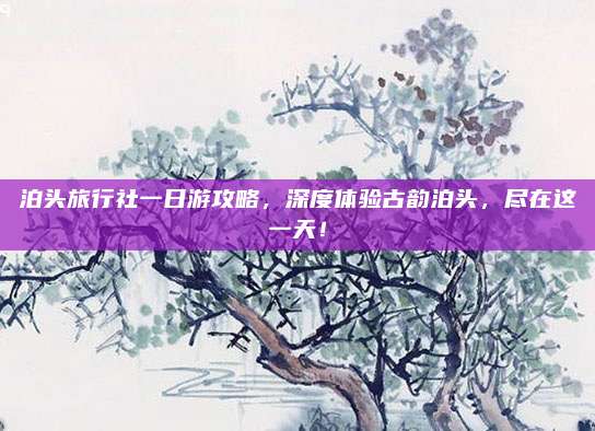泊头旅行社一日游攻略，深度体验古韵泊头，尽在这一天！
