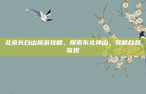 北京长白山旅游攻略，探索东北神山，领略自然奇观