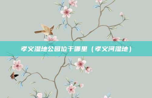 孝义湿地公园位于哪里（孝义河湿地）