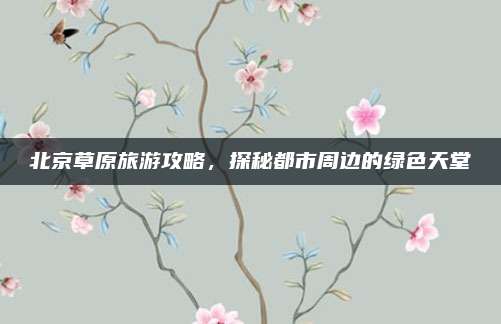 北京草原旅游攻略，探秘都市周边的绿色天堂