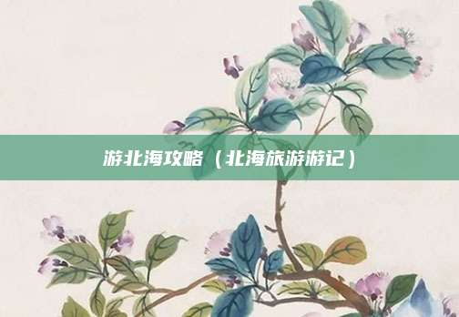 游北海攻略（北海旅游游记）