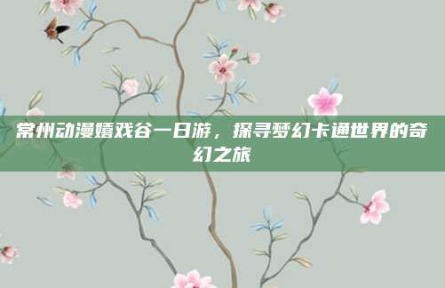 常州动漫嬉戏谷一日游，探寻梦幻卡通世界的奇幻之旅