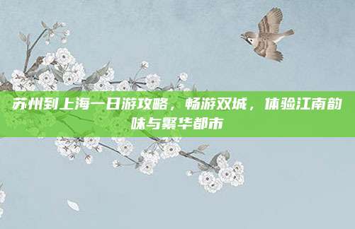 苏州到上海一日游攻略，畅游双城，体验江南韵味与繁华都市