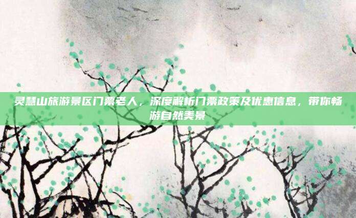 灵慧山旅游景区门票老人，深度解析门票政策及优惠信息，带你畅游自然美景
