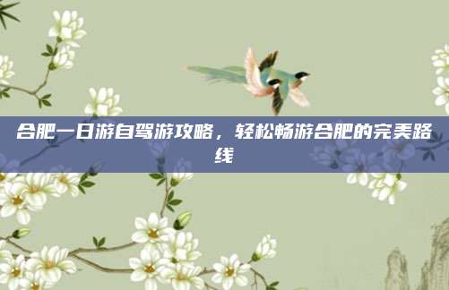 合肥一日游自驾游攻略，轻松畅游合肥的完美路线
