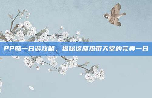 PP岛一日游攻略，揭秘这座热带天堂的完美一日
